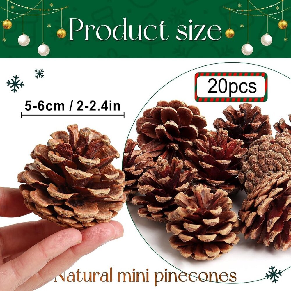 20 Pack 2.4 Inch Pinecones Bulk Package of Natural Pinecones Pine Cones for Craf - Picture 2 of 6